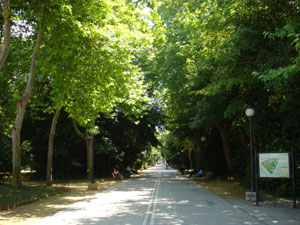 Campo Grande Valladolid