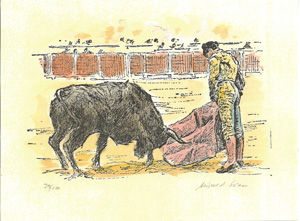 toros